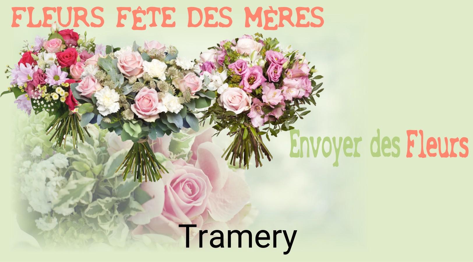 Bouquet de Fête des Mères livré à Tramery